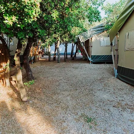 公寓 With A Parking Space Biograd Na Moru, Biograd - 23740